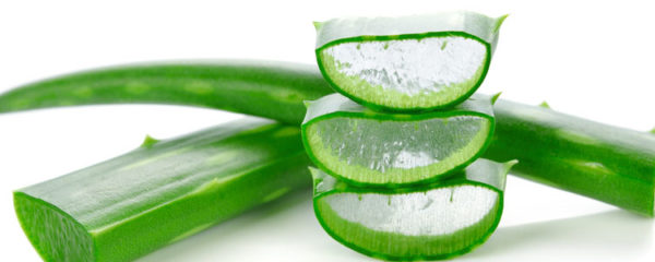 aloe vera forever